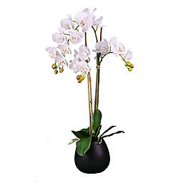 LCG Floral 32-Inch Artificial White Orchid with Black Ceramic Pot