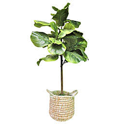 LCG Floral 3-Foot Artificial Fig Tree in Green/White with Handled Basket