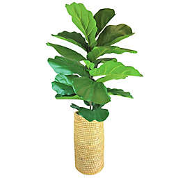 LCG Floral 52-Inch Deluxe Artificial Fig Bush in Green with Cylinder Basket