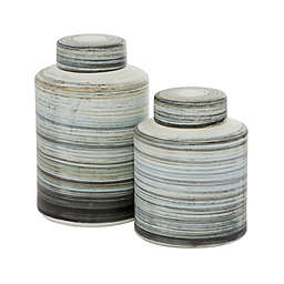 Ridge Road Décor Farmhouse Decorative Jars in Grey (Set of 2)