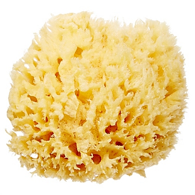 Baby Buddy&reg; Natural Bath Sponge. View a larger version of this product image.