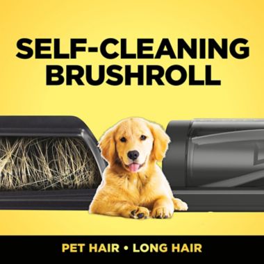 Shark&reg; CZ351 Canister Pet Bagless Corded Vacuum in Navy/Silver. View a larger version of this product image.