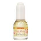 Alternate image 0 for Burt's Bees&reg; 0.51 oz. Truly Glowing&trade; Glow Booster
