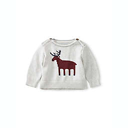 Tea Collection Size 3T Moose Baby Sweater in Ivory
