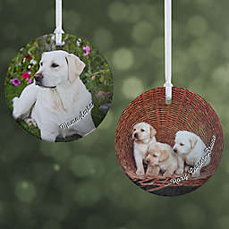 Pet Photo Memories Personalized Ornament- 2.85" Glossy - 2 Sided