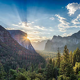 San Francisco Yosemite National Park Tour by Spur Experiences®