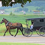 Amish Back Roads Tour by Spur Experiences&reg; (Sugarcreek, OH)