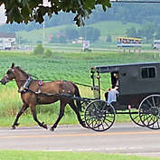 Amish Culinary and Back Roads Tour by Spur Experiences&reg; (Sugarcreek, OH)
