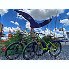 Alternate image 1 for Bats on Bikes Electric Bike Tour by Spur Experiences&reg; (Austin, TX)