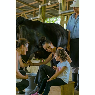 Campesino Farm Experience by Spur Experiences&reg; (Costa Rica). View a larger version of this product image.