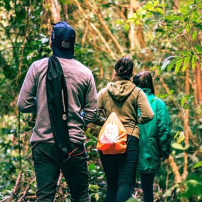 National Park Cloud Forest Hike by Spur Experiences&reg; (La Fortuna, Costa Rica)
