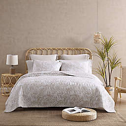 Tommy Bahama® Palmday Twin Quilt Set in Beige