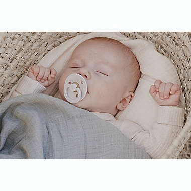 BIBS&reg; Colour 0-6M 2-Pack Latex Pacifiers in Ivory/Blush. View a larger version of this product image.