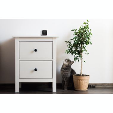 Kangaroo Indoor + Outdoor Camera. View a larger version of this product image.