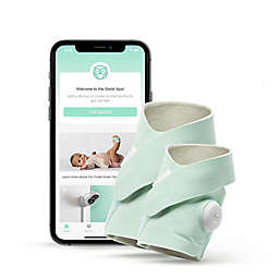 Owlet Smart Sock Plus in Mint