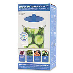 Masontops 4-Piece Single Mason Jar Fermentation Kit in Blue