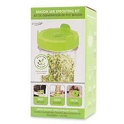 Masontops 3-Piece Single Mason Jar Sprouting Kit
