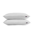 Alternate image 0 for So Fluffy! 2-Pack Rolled Bed Pillows