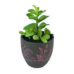 Wild Sage™ 9-Inch Potted Plant in Pink
