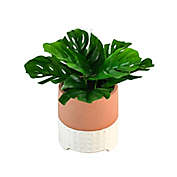 Wild Sage&trade; 12-Inch Potted Plant in Orange