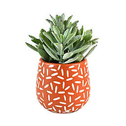 Wild Sage™ 10-Inch Potted Plant in Orange