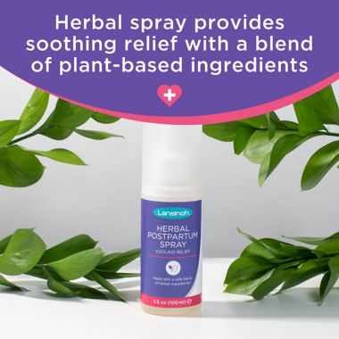 Lansinoh&reg; 4-Piece Postpartum Essentials Recovery Bundle. View a larger version of this product image.