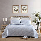 Alternate image 0 for Distressed Water Leaves Sky Full/Queen Quilt Set in Sky Blue