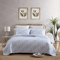 Distressed Water Leaves Sky Full/Queen Quilt Set in Sky Blue