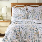 Levtex Home Apolonia Bedding Collection