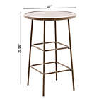 Alternate image 1 for Everhome&trade; Saybrook Outdoor High Bistro Table in Brown