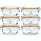 Alternate image 0 for Sage Spoonfuls&reg; Tough Glass Tubs 4 oz. Baby Food Storage Containers in Clear (Set of 6)