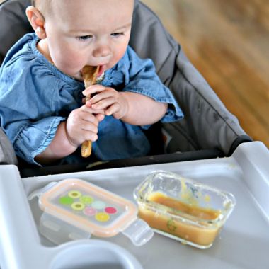 Sage Spoonfuls&reg; Tough Glass Tubs 4 oz. Baby Food Storage Containers in Clear (Set of 6). View a larger version of this product image.