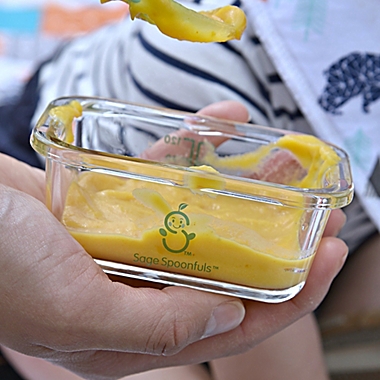 Sage Spoonfuls&reg; Tough Glass Tubs 4 oz. Baby Food Storage Containers in Clear (Set of 6). View a larger version of this product image.