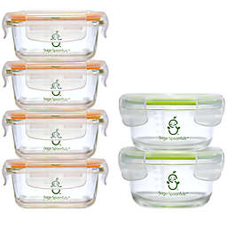 Sage Spoonfuls® Tough Glass Combo Pack Baby Food Storage Container Set in Clear (Set of 6)