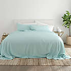 Alternate image 1 for Home Collection Solid Queen Sheet Set in Aqua