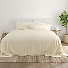 Alternate image 1 for Home Collection Solid Twin XL Sheet Set in Ivory