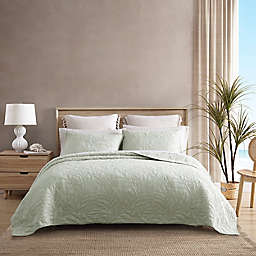Tommy Bahama® Solid Costa Sera Quilt in Sage Green
