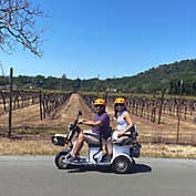 Electric Trike Wine Country Tour by Spur Experiences&reg; (Sonoma, CA)