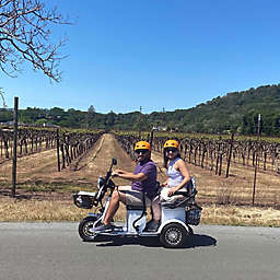 Electric Trike Wine Country Tour by Spur Experiences® (Sonoma, CA)
