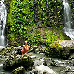 Yoga in the Wild by Spur Experiences® (Woodinville, WA)