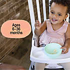 Alternate image 13 for Ingenuity&trade; Baby Base 2-in-1&trade; Booster Seat in Cashmere