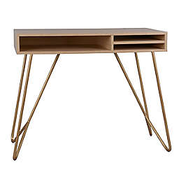 Wild Sage™ Hairpin Leg Fashion Desk with Storage in Natural/Gold