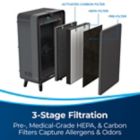 Alternate image 5 for BISSELL&reg; Air220 Air Purifier in Black/Grey