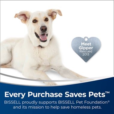 BISSELL&reg; Air220 Air Purifier in Silver/Grey. View a larger version of this product image.