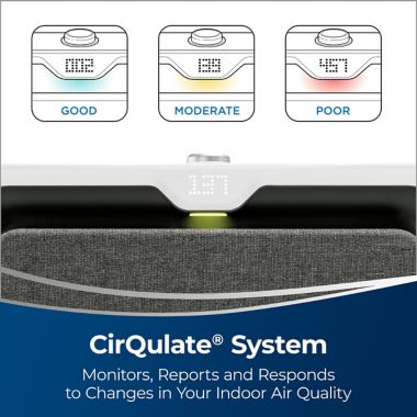 BISSELL&reg; Air220 Air Purifier in Silver/Grey. View a larger version of this product image.