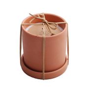Bee &amp; Willow&trade; Bohemian Birch 3-Wick 20 oz. Planter Candle