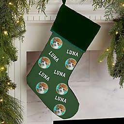 Pet Photo Phrase Personalized Christmas Stockings in Green