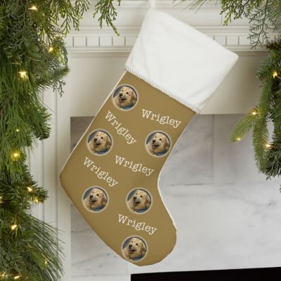 Pet Photo Phrase Personalized Christmas Stocking in Ivory