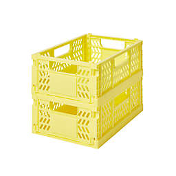 Simply Essential™ Small Collapsible Crates in Limelight (Set of 2)