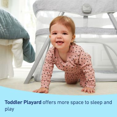 Graco&reg; DreamMore&trade; 3-in-1 Portable Bassinet &amp; Travel Crib in Beau. View a larger version of this product image.